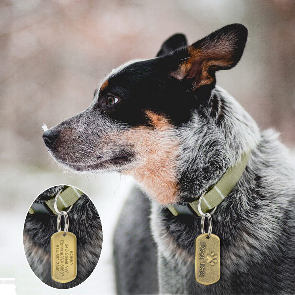 Military Pet Tag